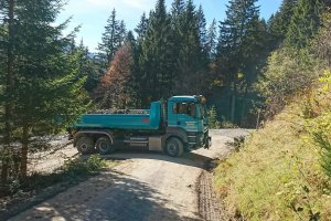 Transporte